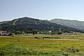 Mt. Kokhtagora(ka) and Sakvelo(ka)