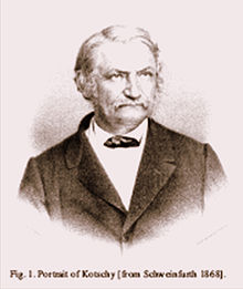 Theodor Kotschy, 1863