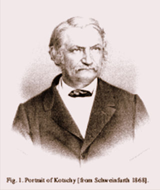 <span class="mw-page-title-main">Theodor Kotschy</span> Austrian botanist and explorer (1813–1866)