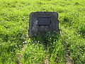 English: Old cemetery near Greek Catholic church in Krościenko Polski: Stary cmentarz przy dawnej cerkwi