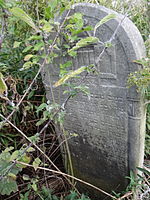 English: Jewish cemetery in Krzeszów, subcarpathian voivodeship Polski: Cmentarz żydowski (Kirkut) w Krzeszowie, w powiecie niżańskim