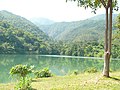 Lake, Sukothai - panoramio.jpg