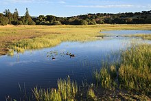 The lake serves as a basin in the winter and spring, filling to a maximum depth of approximately three feet. The majority of the remaining area is pocketed with smaller vernal pools and temporary wetlands.