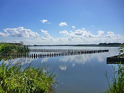 Imagen ilustrativa del artículo Lago Tega