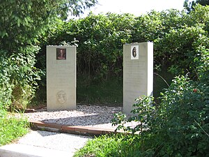 Langeoog: Geografie, Flora und Fauna, Geschichte