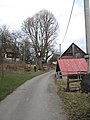 Čeština: Památný strom Lhotecká lípa - lípa srdčitá (Tilia cordata) ve Lhotce. Okres Jablonec nad Nisou, Česká republika. Object location 50° 41′ 25.45″ N, 15° 20′ 12.16″ E  View all coordinates using: OpenStreetMap