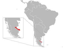 Distribución de Liolaemus kingii