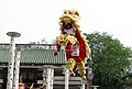 Lion dance in Foshang.jpg