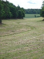 Lit sec du ruisseau l'Ouèvre en amont de Fresnes (Yonne, Fr).JPG