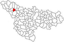 Localização no condado de Timiș
