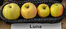 Miniatura para Luna (manzana)