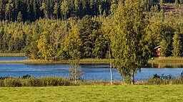 Ön Mörkön i Dalkarlen, där rester finns efter en gammal borg