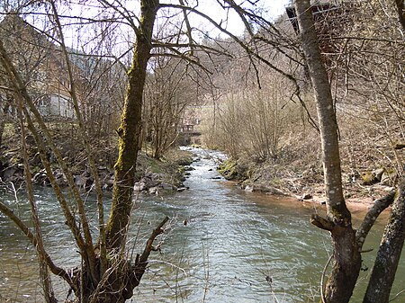 Mündung Teinach