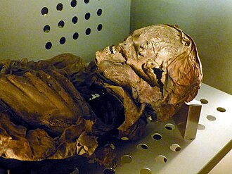 Face of male mummy. MNH - Mumie Frau.jpg