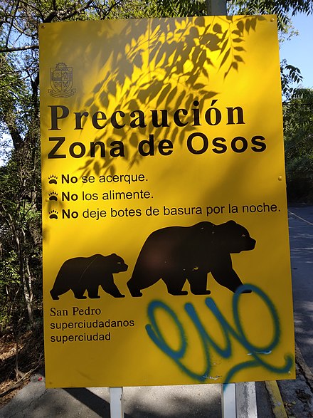 Beware of bears in Chipinque