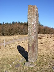 Maen Madoc în soare - geograph.org.uk - 693640.jpg