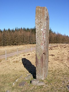 Maen Madoc Standing stone in Ystradfellte Community, Powys, Wales