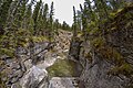 Maligne Canyon (16087549975).jpg