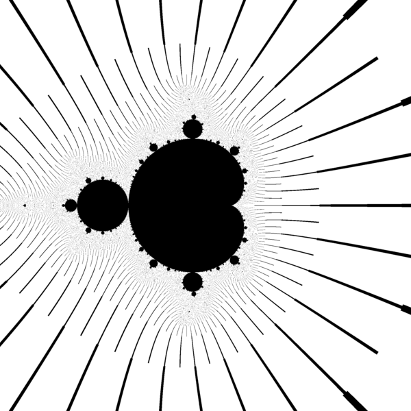 File:Mandelbrot set with field lines.png