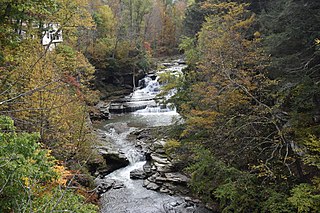 <span class="mw-page-title-main">Manor Kill</span> River in New York, United States