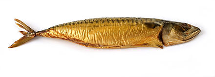 A smoked Atlantic mackerel