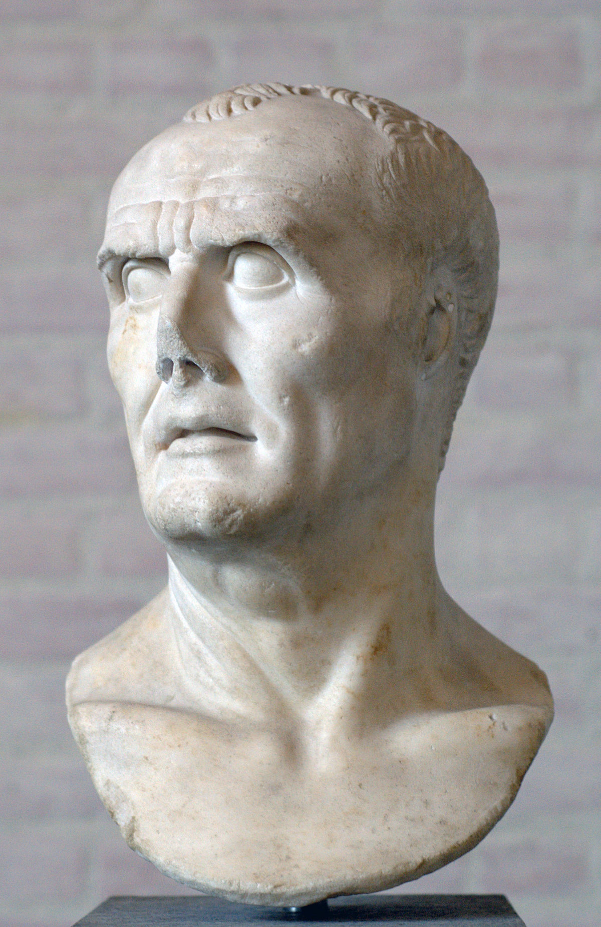 Image result for Gaius Marius