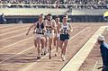 Men 800 m semifinal 1964 Olympics3.jpg