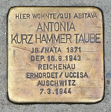 Meran Stolperstein Antonia Kurz Hammer - HallergasseTaube.jpg