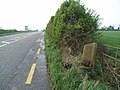 Milestone in the townland of Ward Lower