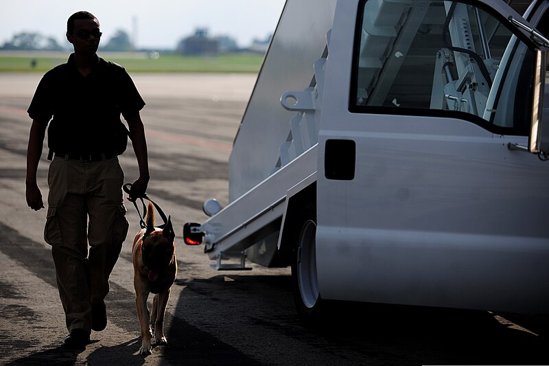 File:Military working dog during President visit 140903-F-UE958-023.jpg