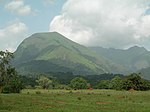 Mount Nimba Strict Nature Reserve-108450.jpg