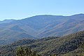 Mount Mitchell