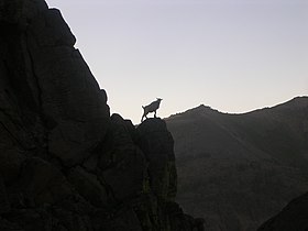 Alpine Lakes Wilderness