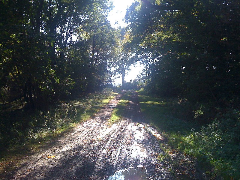 File:Muddy track - panoramio.jpg