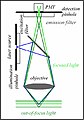 Confocal beam path