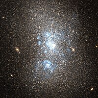 NGC 5238 Hubble WikiSky.jpg