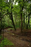 Un ruisseau près du mont Stražilovo