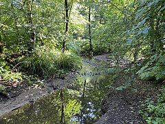 Sandbach an der Einmündung des Krebsbaches bei Kesselsweier