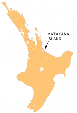 NZ-Matakana I.png 