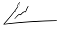 Naim Hassan signature.svg