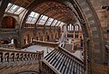 * Nomination Central hall of the Natural History Museum London in the evening --Julian Herzog 12:09, 7 October 2023 (UTC) * Promotion Good quality -- Spurzem 16:36, 11 October 2023 (UTC)