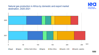 Natural gas production in Africa by domestic and export market destination, 2020-21. Africa’s gas production growth was supported by both domestic and export markets in 2021