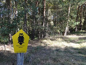 Wustrick meadows near Groß-Köris