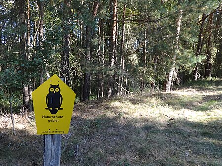 Naturschutzgebiet Löptener Fenne–Wustrickwiesen 01