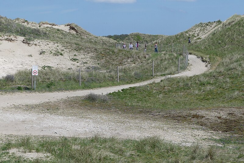 File:Natuur in duingebied Zuid-Kennemerland P1140550.jpg