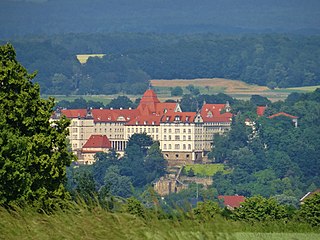 <span class="mw-page-title-main">Sonnenstein Castle</span> Former mental hospital and extermination centre in Germany