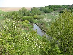 Место слияния рек Ничлавки и Ничлавы между селами Колындяны и Давыдковцы