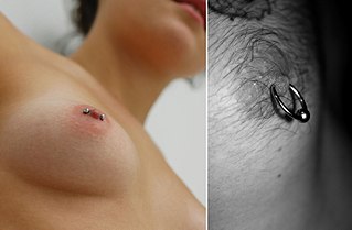Nipple piercing Body piercing, centered usually at the base of the nipple