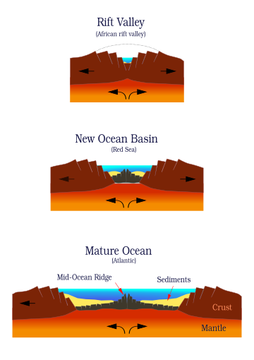 File:Ocean-birth.svg