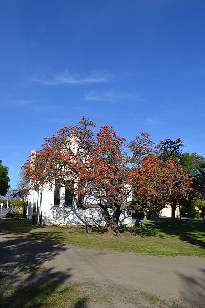 File:Old Library, Robertson, Western Cape. Piet Retief Street. 1904. 04.jpg